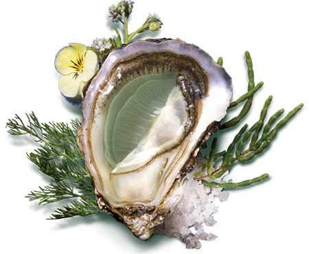 Les Huîtres Courdavault Alain & Fils - Huîtres fines de claires vertes Label rouge calibre 1 : 2 dz