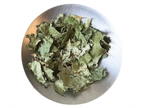 Esprit Zen - Feuilles de Bouleau séchées - Tisane - Sachet refermable de 400g