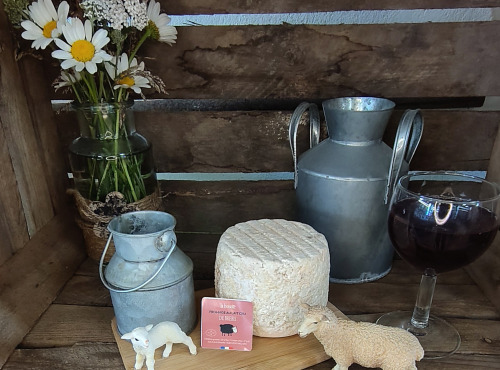 Boutique Boisette - Tomette pur brebis 360g