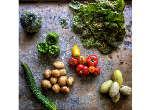 La Ferme d'Artaud - Panier De Légumes Frais (moyen)