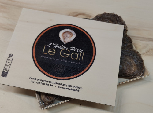 Jean Luc Le Gall Huîtres et Coquillages - Huitres Plates Moyennes x 24 Pièces