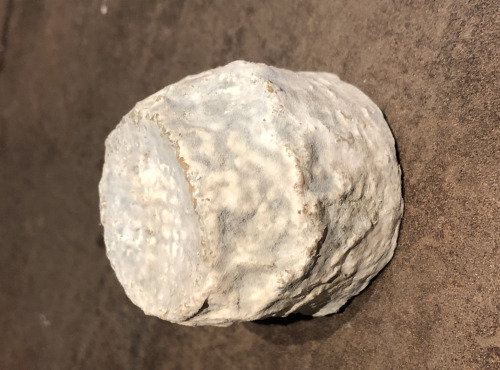 La Guyotte Ferme Bressane - Le Bouton sec par 28