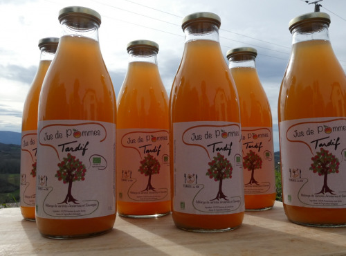 Terres EnVie - Jus De Pommes Bio « Récolte Tardive » Variétés Anciennes 6 bouteilles d'un litre