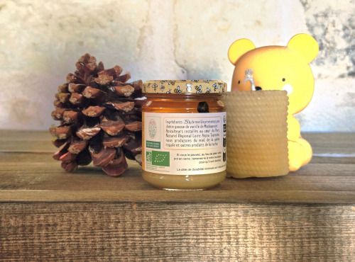 Les Butineuses de Champigny - Miel de printemps et gousse de vanille BIO - 250g