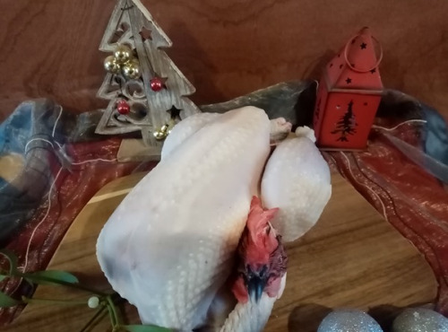 Les poulets de la Marquise - Chapon Fermier BIO - Très Gros - 4kg minimum