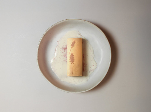 GT Designer Glacier - Bûchette Glacée "La Provençale"