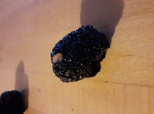 Les Vergers de la Vautée - Truffe de Bourgogne fraîche