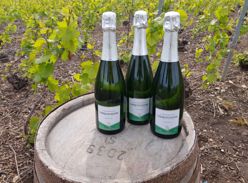 Champagne Deneufchatel - Champagne Deneufchatel Brut Tradition 3 X 75 Cl