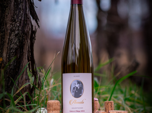 Domaine François WECK et fils - FOIRE AUX VINS : Gewurztraminer Vendangé Tardivement 2023 Cuvée Annala - 75 cl x6