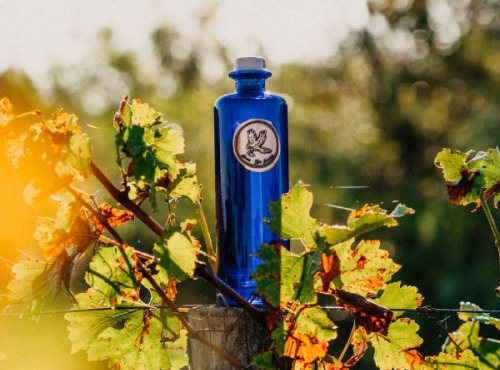 Maison Mounicq - Gin Avem Hippolais