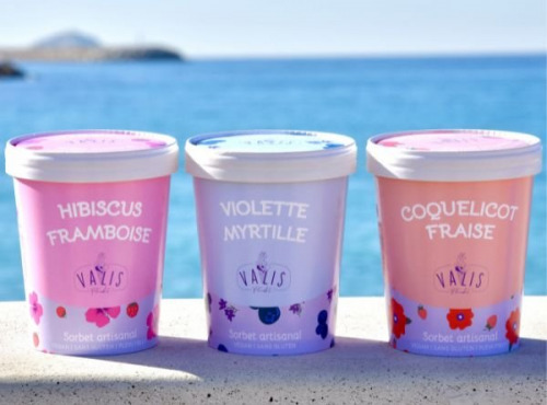 Valis Fleurbet - Lot 3 Sorbets fruits rouges 3x480ml