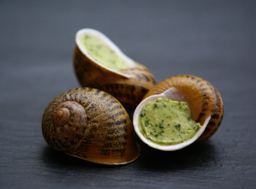 L'escargotière BONVALOT - 2 Douzaines d'Escargots Surgelés en Coquille au Beurre d'Ail et de Persil