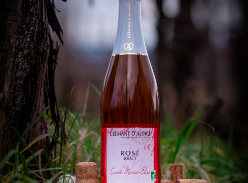Domaine François WECK et fils - Le Crémant Rosé - Cuvée Marie-elise - 75 cl x3