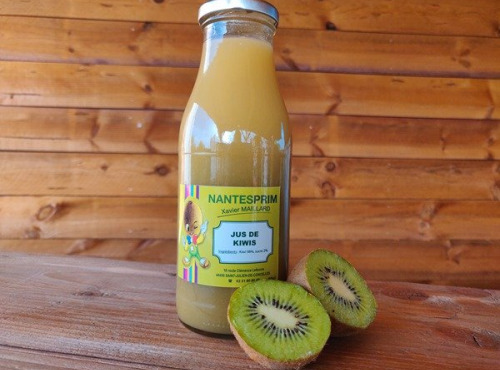 Verger Nantes Prim - Smoothie de kiwi vert (75 cl)