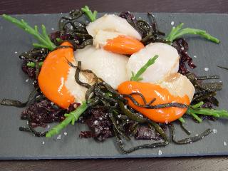 AQUADIS NATURELLEMENT - Noix De Coquilles Saint-Jacques de la rade de Brest