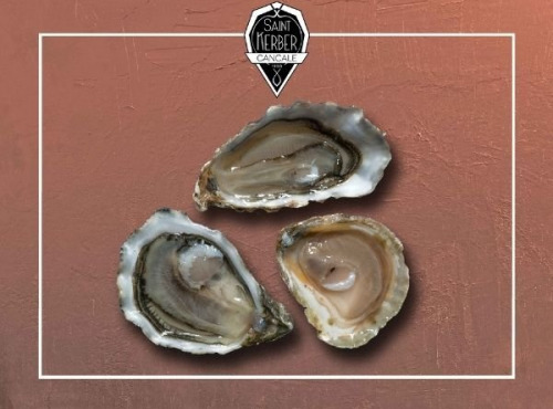 Saint Kerber - Cancale - L'huitre Sauvage de pleine mer N°1 - 12 pièces