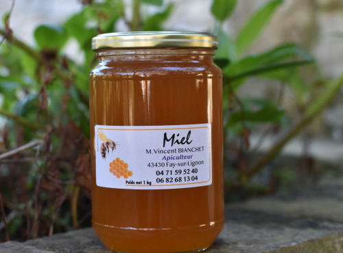 La Truite du Mézenc - Miel de Montagne - 1kg