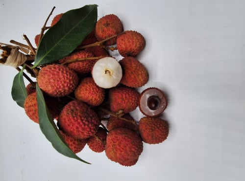 La Boite à Herbes - LITCHI BRANCHE BIO MADAGASCAR 400 G