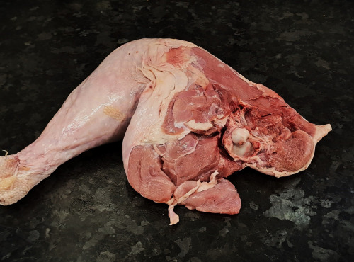 Boucherie Charcuterie Traiteur Lionel Ghérardi - Cuisse de Dinde - 1500g