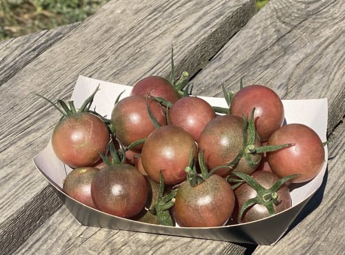 Ferme Sinsac - tomate black cherry
