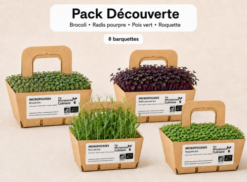 Ma Micropousse culinaire - Micro-pousses bio – Pack Découverte – Brocoli, radis pourpre, pois vert & roquette – 8 barquettes