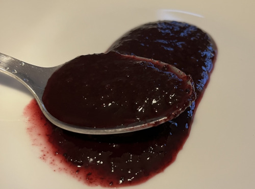 Myrtilles du Trimoulet - Purée Myrtilles - Pot de 1 Kg