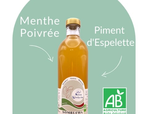 Mama Kombucha - Kombucha Menthe, Piment D'Espelette - Baïgura