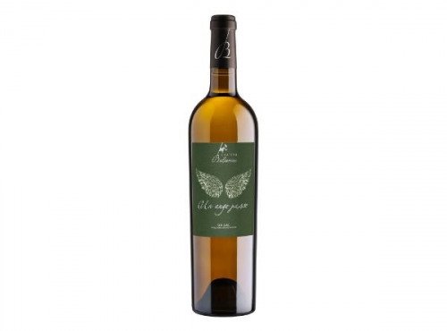 Château Balsamine - AOC Gaillac Blanc Premières Côtes "Un ange passe" 2023 6x75cl
