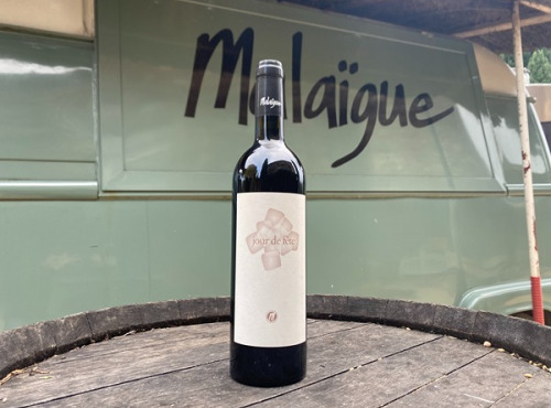 Domaine de Malaïgue - AOP Duché d'Uzès rouge bio - Jour de Fête