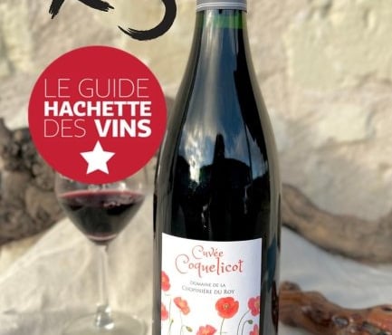 Domaine de la Chopinière du Roy - Lot de 3 Bouteilles de vin rouge Saint Nicolas de Bourgueil cuvée Coquelicot 2024 - 3 x 75 cl