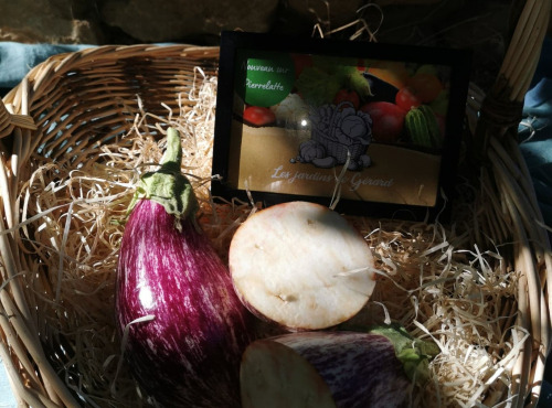 Les Jardins de Gérard - Aubergine striée Bio