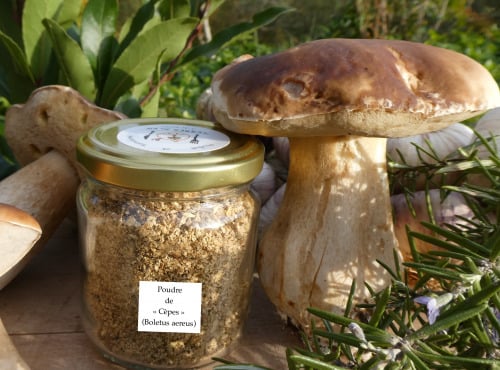 Terres EnVie - Champignon Bio -  Cèpe En Poudre