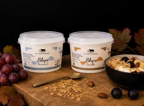 La Tallevendaise - Lot skyr nature et skyr vanille 2x500g