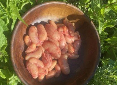 Des Poules et des Vignes à Bourgueil - (Offre réservée) - 500g de rognons de coq + 2,5kg de crètes de coq