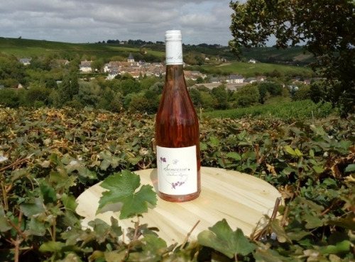 Domaine Doudeau-Leger - Sancerre Rosé AOC 2023 - 1 Bouteille