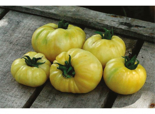 Les Jardins de Mondpa - tomate blanche à orange