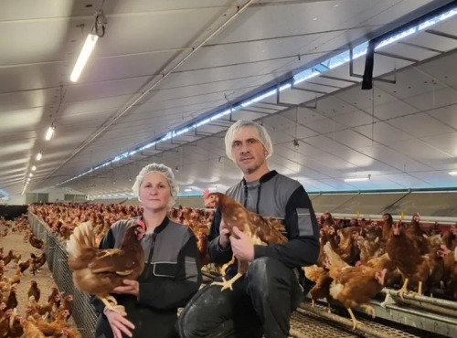 Dégustonfoin - Rillettes de poule BIO au pommeau 180g– Réjouissance Normande