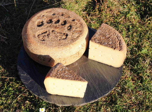 Maxime Bajas – Ferme De L’Aouda - Fromage de brebis PéDescaous –  Printemps 5 mois – demi 2,4kg