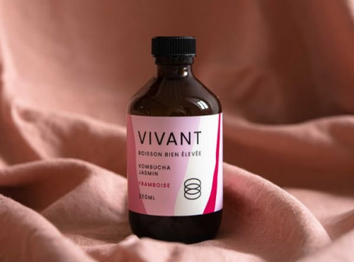 Vivant Kombucha - Kombucha Thé vert Jasmin Framboise Bio x6