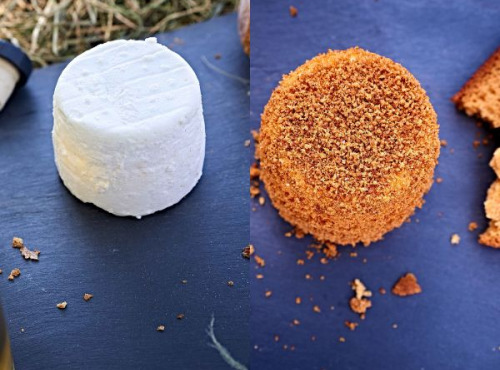 Chèvrerie de Ker Anna - Duo crottins de chèvre : frais + pain d'épices