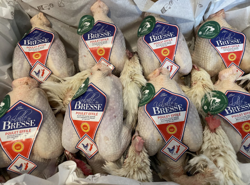La Guyotte Ferme Bressane - Le Poulet de Bresse Femelle AOP effilé par 8