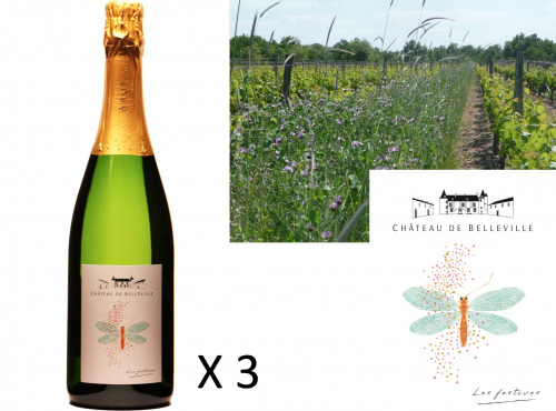 Château de Belleville Maison Baron - Les Festives Blanc AOC Crémant de Loire Brut Blanc de Blanc