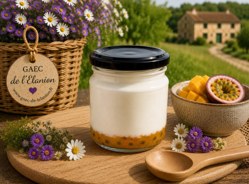 Gaec de l'Elanion - Fromage Blanc Confiture Mangue Passion  130g
