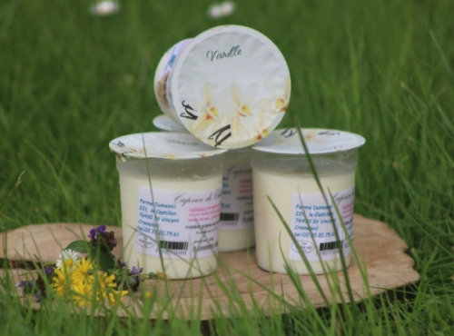 Ferme Dumesnil - Crème Dessert Vanille