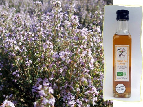 L'Agricueilleur du Suzon - Sirop de Thym BIO - 25cl