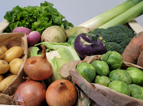 Le Pré de la Rivière - Panier de 12 légumes Bio de saison - 10kg