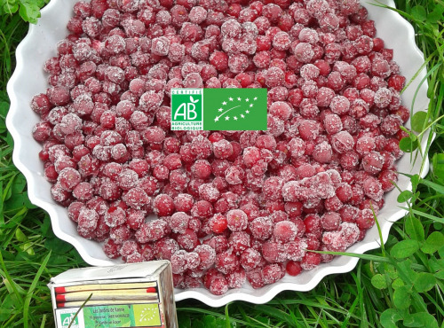 LES JARDINS DE KARINE - Groseilles rouges surgelées - 3kg