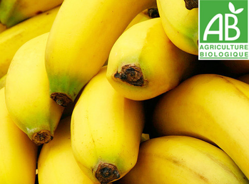 Mon Petit Producteur - Banane Cavendish De République Dominicaine