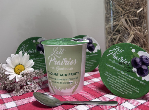 Lait Prairies du Boulonnais - Yaourt brassé à la myrtille x4