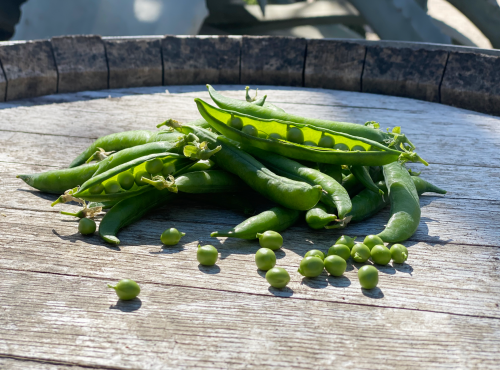 La Boite à Herbes - Petit Pois - 250g